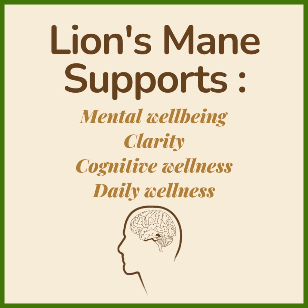 Lion’s Mane Mushroom (1000mg)