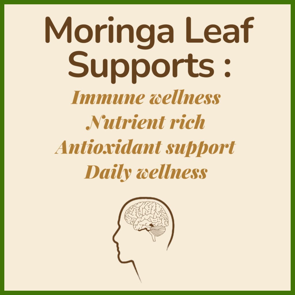 Moringa Leaf (1000mg)
