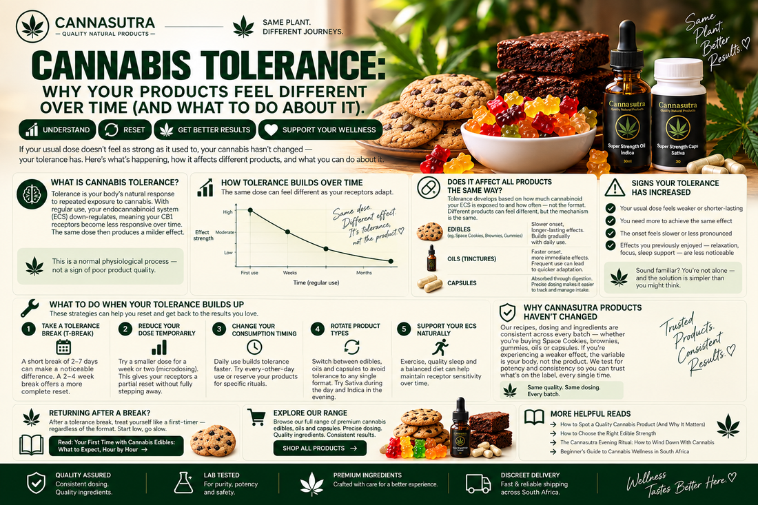 Cannabis Tolerance: Why Your Products Feel Different Over Time (And What to Do About It)