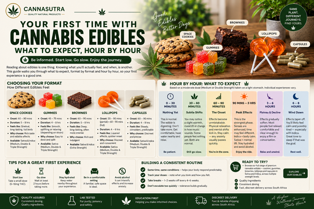Your First Time with Cannabis Edibles: What to Expect, Hour by Hour
