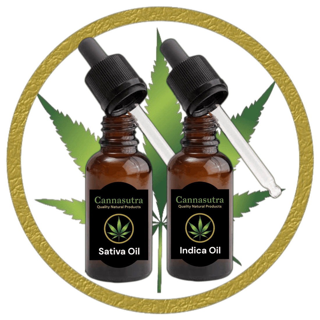 Sativa vs Indica THC Oil