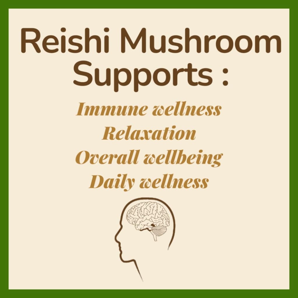 Reishi Mushroom (1000mg)