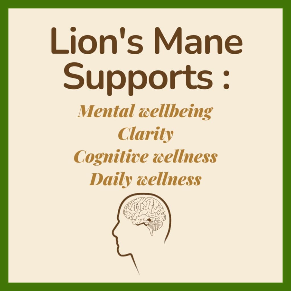 Lion’s Mane Mushroom (1000mg)