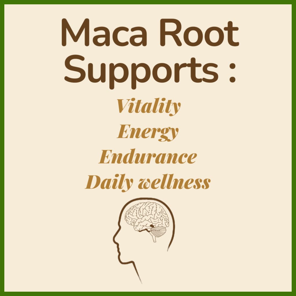 Maca Root (1500mg)