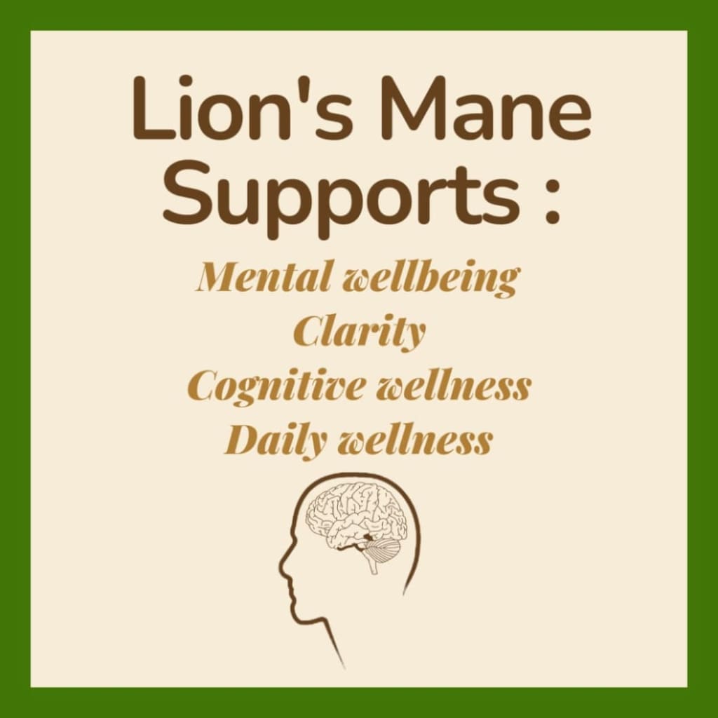 Lion’s Mane Mushroom (1000mg)