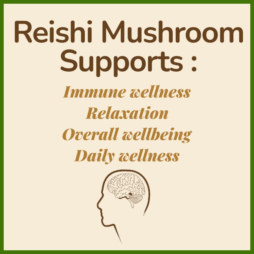 Reishi Mushroom (1000mg)