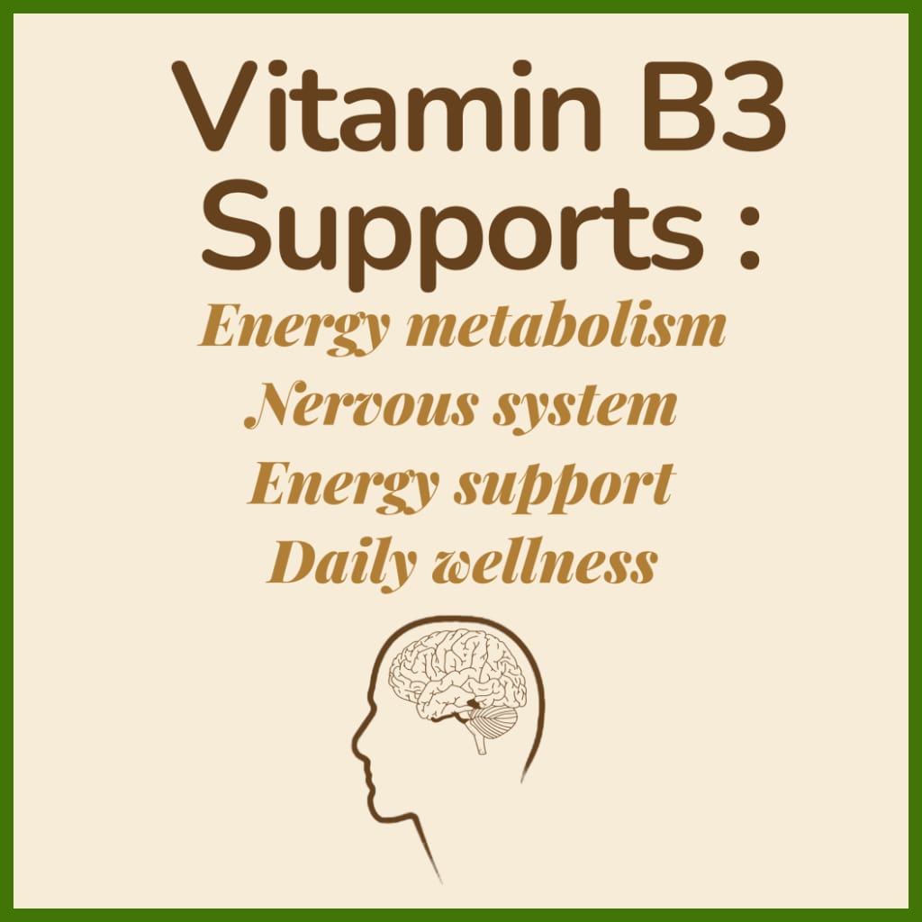 Vitamin B3 (Niacinamide) 30 Capsules (1 month’s supply)